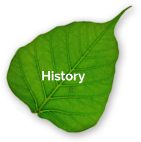 History